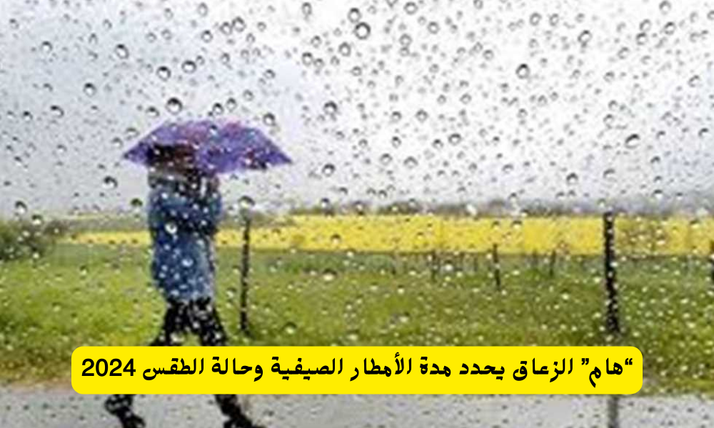 الأمطار الصيفية على السعودية