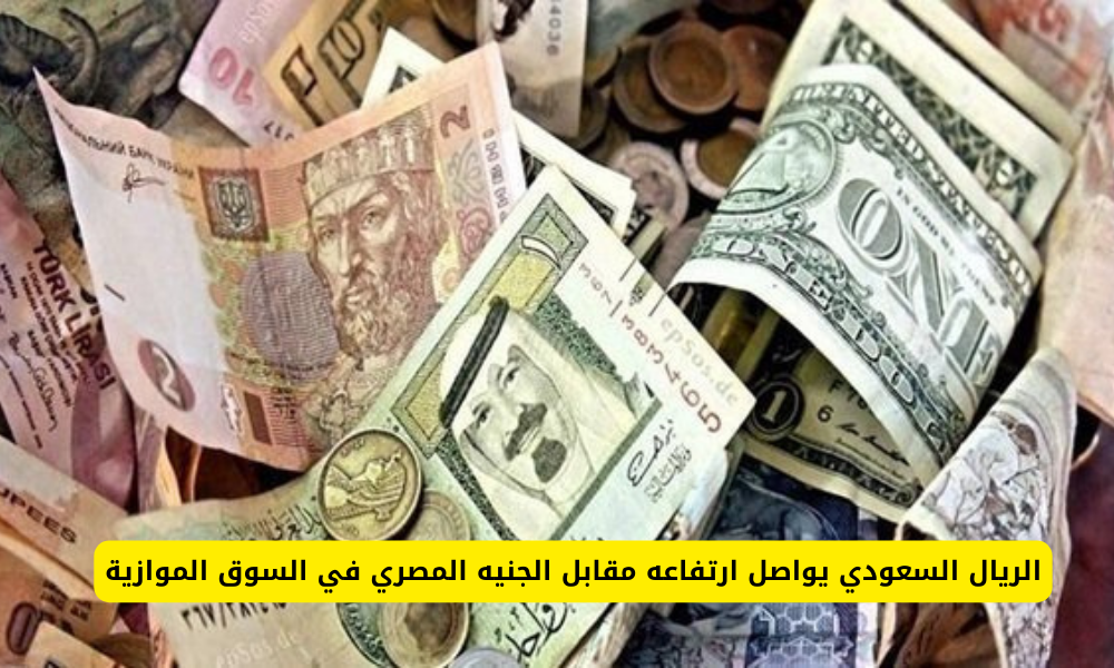 سعر الريال السعودي مقابل الجنيه المصري